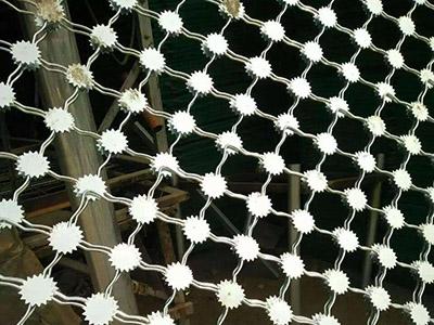 太陽(yáng)花美格網(wǎng)圖片4