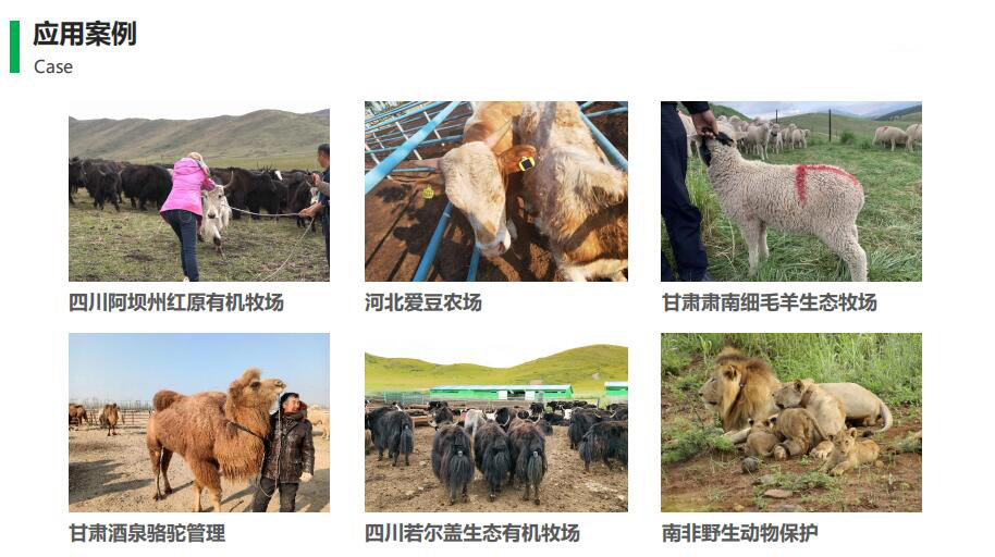 智慧牧場(chǎng)應(yīng)用案例